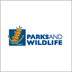 Parks & Wildlife supporting Jetty to Jetty Coogee Ocean Swim